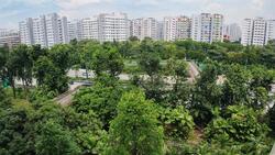 Blk 124 Pasir Ris Street 11 (Pasir Ris), HDB 4 Rooms #579152831